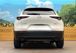
										MAZDA CX-30 2023 20S full									