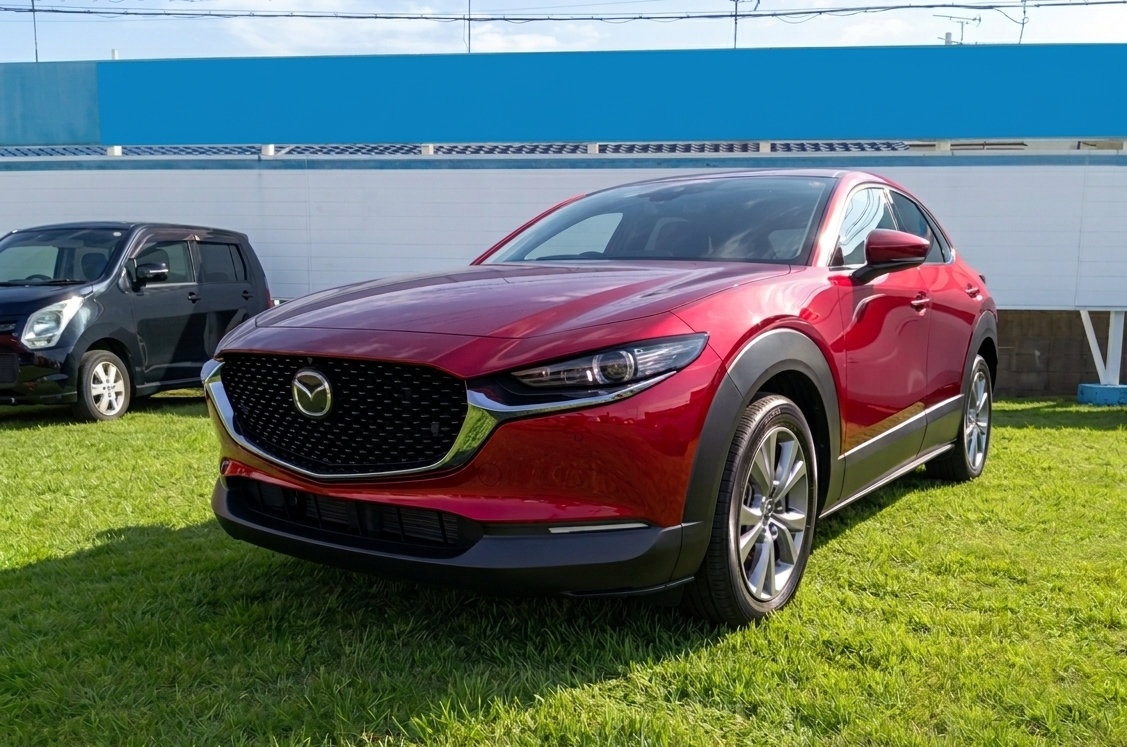 MAZDA CX-30 2023 Pro Active