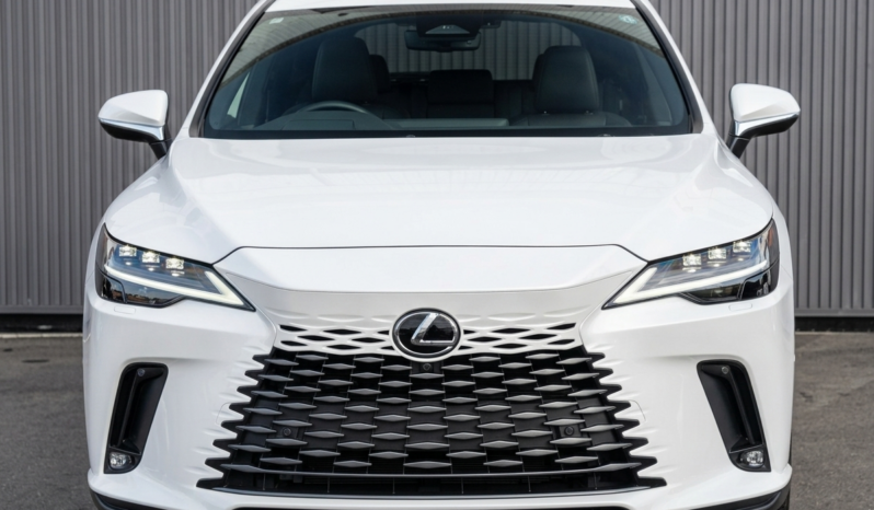 
								Lexus RX 2,5L 2024 full									