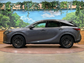 Lexus RX 2,5L 2024