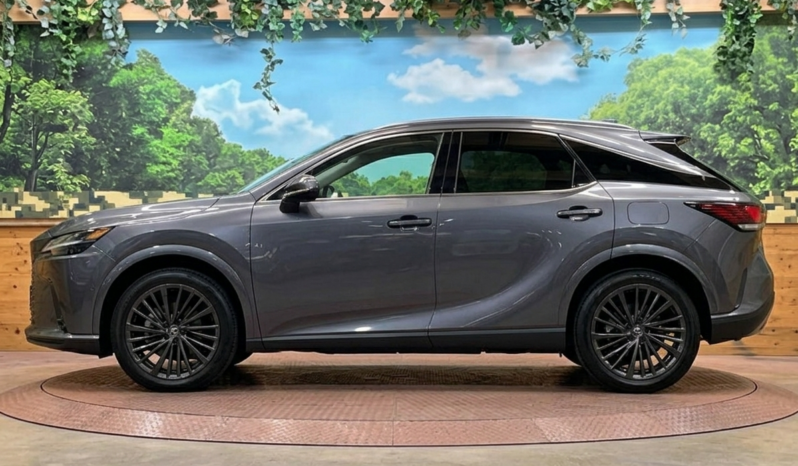 
								Lexus RX 2,5L 2024 full									