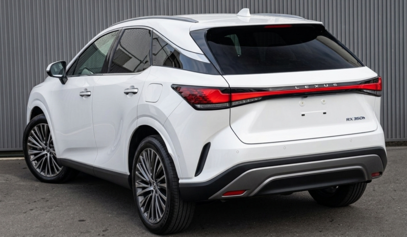 
								Lexus RX 2,5L 2024 full									