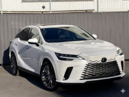 
										Lexus RX 2,5L 2024 full									