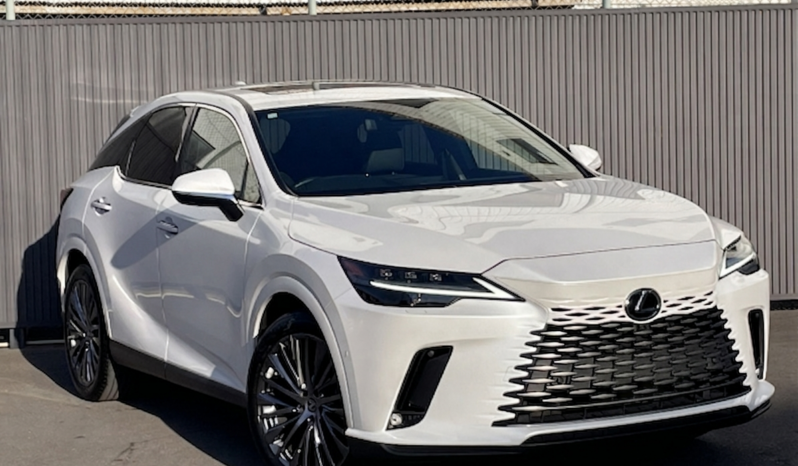 
								Lexus RX 2,5L 2024 full									