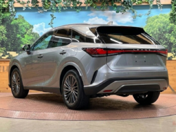 
										Lexus RX 2,5L 2024 full									
