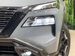 
										2024 Nissan X-Trail E-4ORCE full									