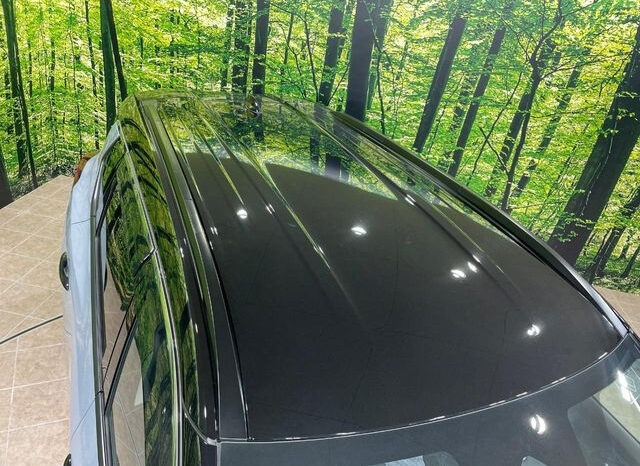 
								2024 Nissan X-Trail E-4ORCE full									