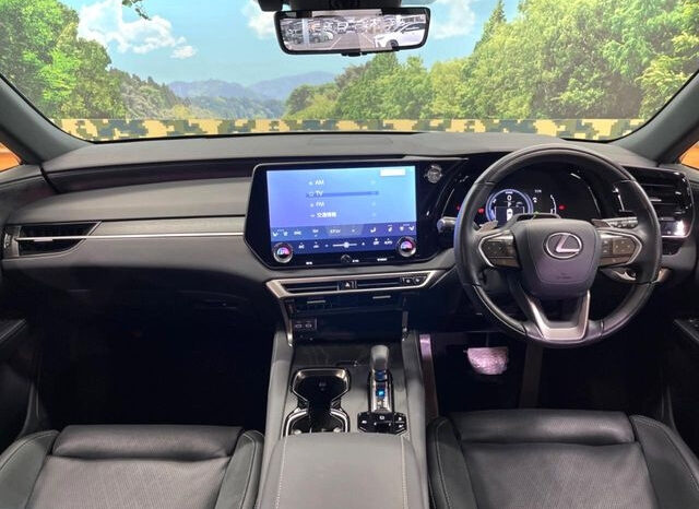 
								Lexus RX 2,5L 2024 full									
