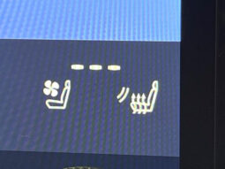 
										Lexus RX 2,5L 2024 full									