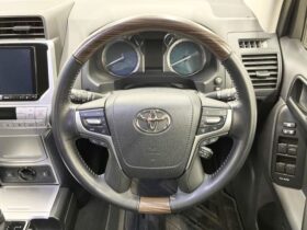 TOYOTA LAND CRUISER PRADO 2022 TX