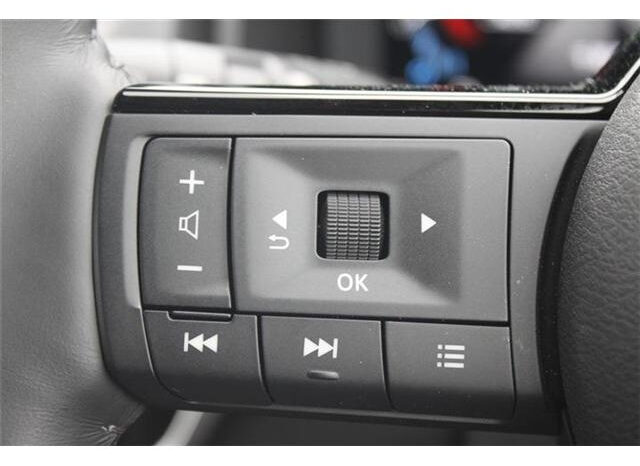 
								NISSAN X-TRAIL 2023 X e-4ORCE full									