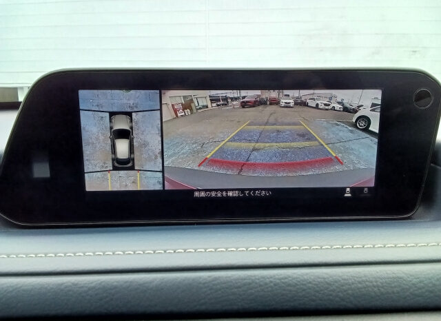 
								MAZDA CX-30 2023 Pro Active full									