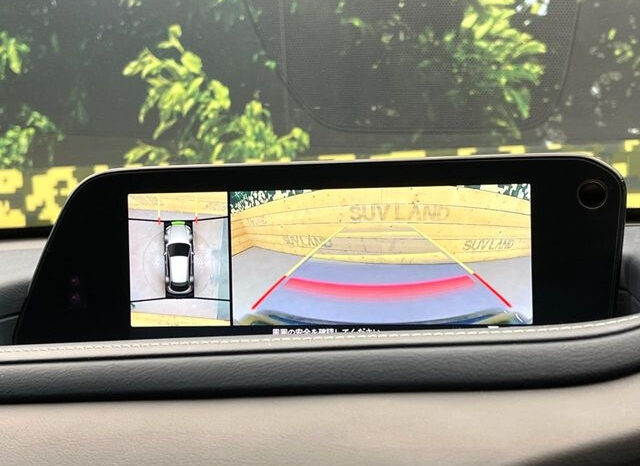 
								MAZDA CX-30 2023 20S full									