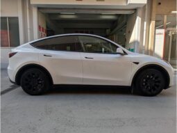 
										TESLA MODEL Y 2023 RWD full									