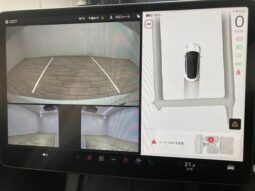 
										Tesla Model 3 Electric 2022 full									