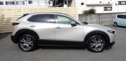 
										Mazda CX-30 2,0L 2024 full									
