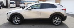 
										Mazda CX-30 2,0L 2024 full									