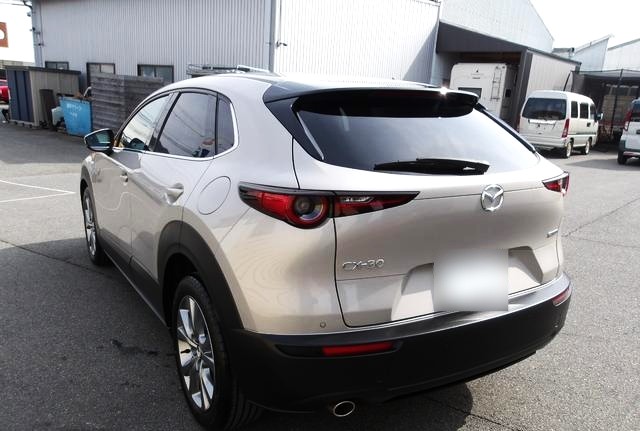 
								Mazda CX-30 2,0L 2024 full									
