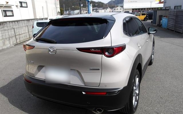 
								Mazda CX-30 2,0L 2024 full									