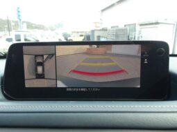 
										Mazda CX-30 2,0L 2024 full									