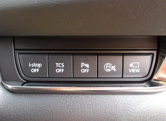 
								Mazda CX-30 2,0L 2024 full									