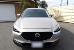 
										Mazda CX-30 2,0L 2024 full									
