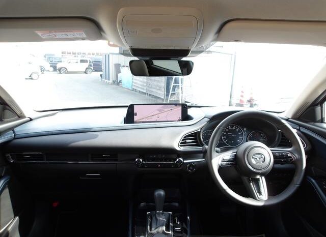 
								Mazda CX-30 2,0L 2024 full									