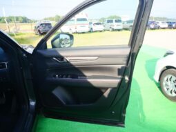 
										MAZDA CX-8 2022 full									