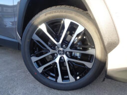 
										TOYOTA RAV4 2026 Z full									