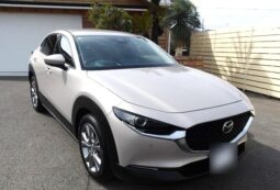 
										Mazda CX-30 2,0L 2024 full									