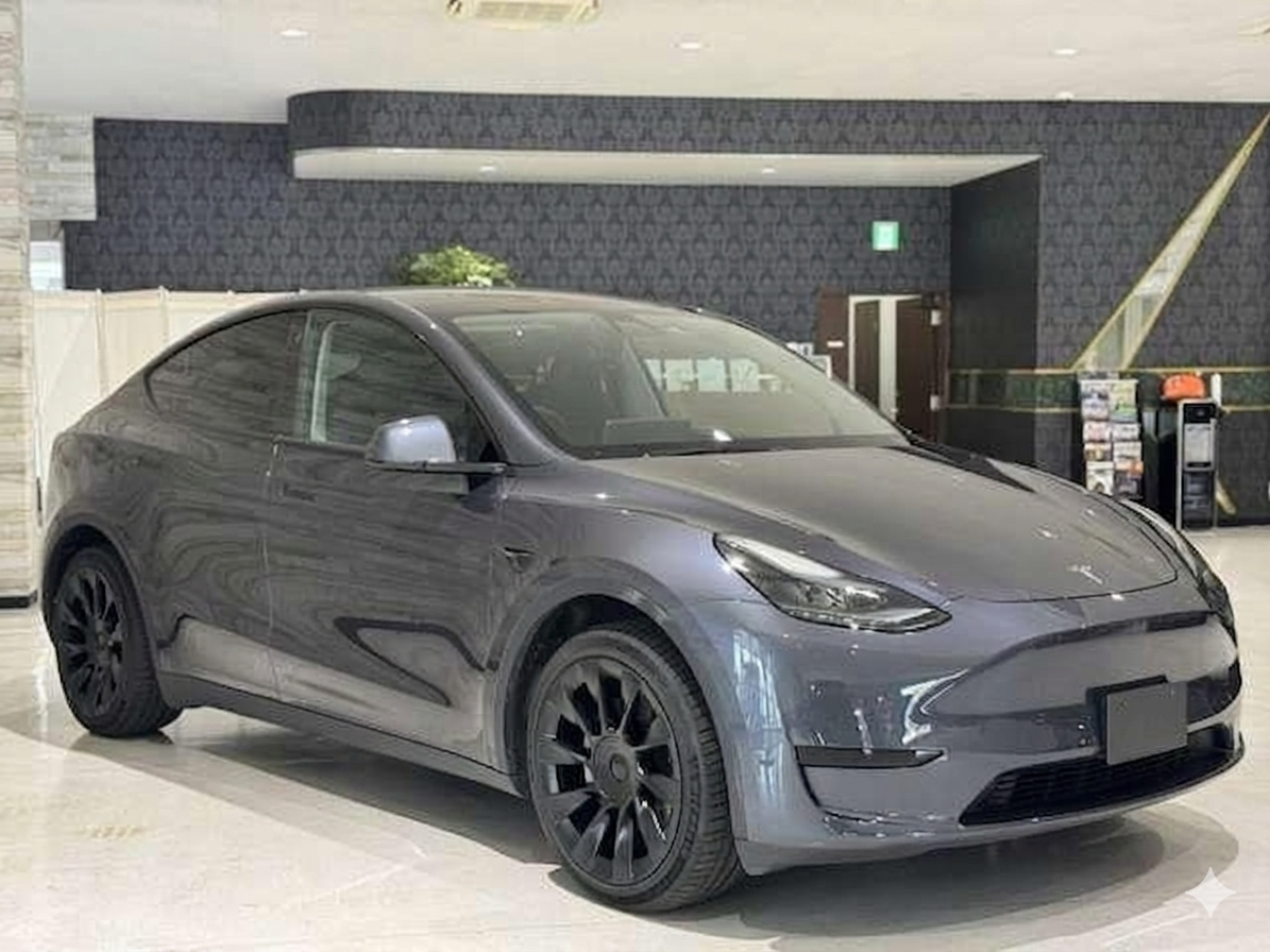 TESLA MODEL Y 2022 RWD