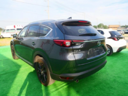 
										MAZDA CX-8 2022 full									