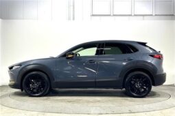 
										MAZDA CX-30 2024 XD full									