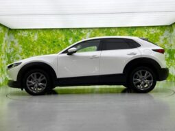 
										MAZDA CX-30 2024 20S PRO ACTIVE full									