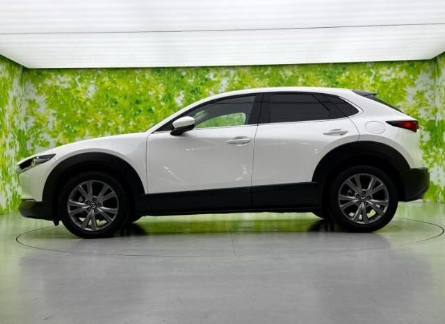 
								MAZDA CX-30 2024 20S PRO ACTIVE full									