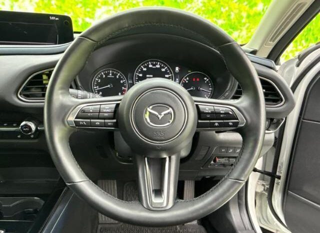 
								MAZDA CX-30 2024 20S PRO ACTIVE full									