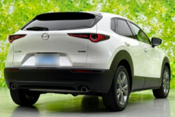 
										MAZDA CX-30 2024 20S PRO ACTIVE full									