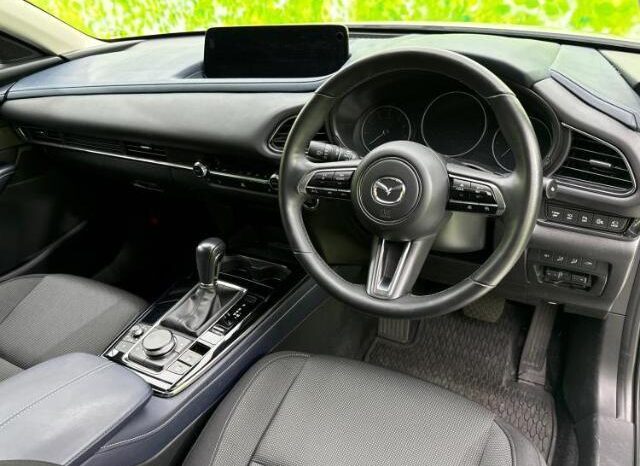 
								MAZDA CX-30 2024 20S PRO ACTIVE full									