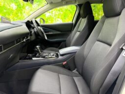 
										MAZDA CX-30 2024 20S PRO ACTIVE full									