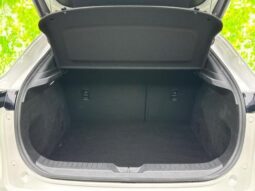 
										MAZDA CX-30 2024 20S PRO ACTIVE full									