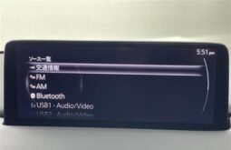 
										MAZDA CX-30 2024 20S PRO ACTIVE full									