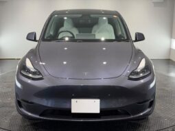 
										2022 Tesla Model Y full									