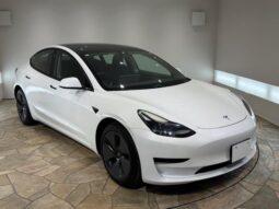 
										2022 TESLA MODEL 3 full									