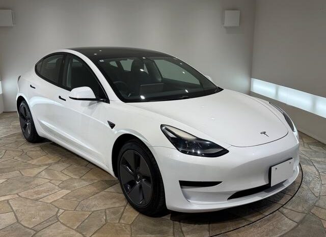 
								2022 TESLA MODEL 3 full									