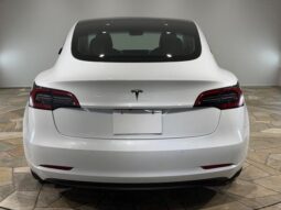 
										2022 TESLA MODEL 3 full									