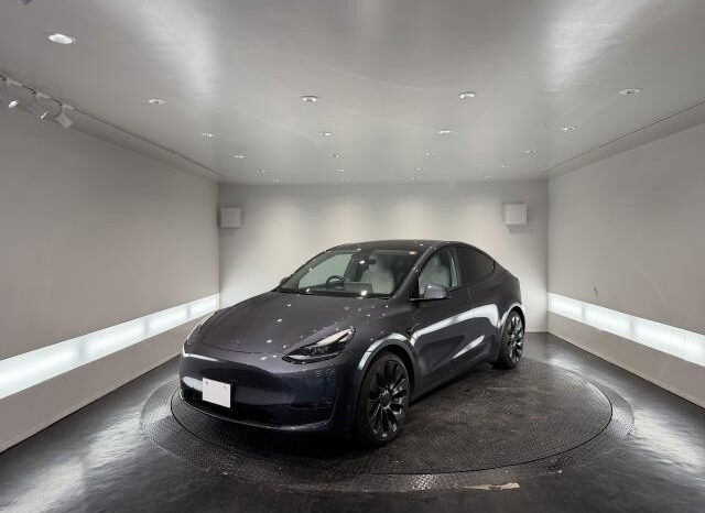 
								2022 Tesla Model Y full									