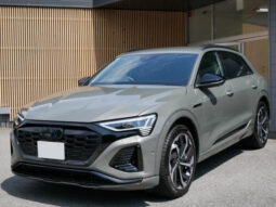 
										2024 AUDI Q8 E-TRON QUATTRO S LINE full									