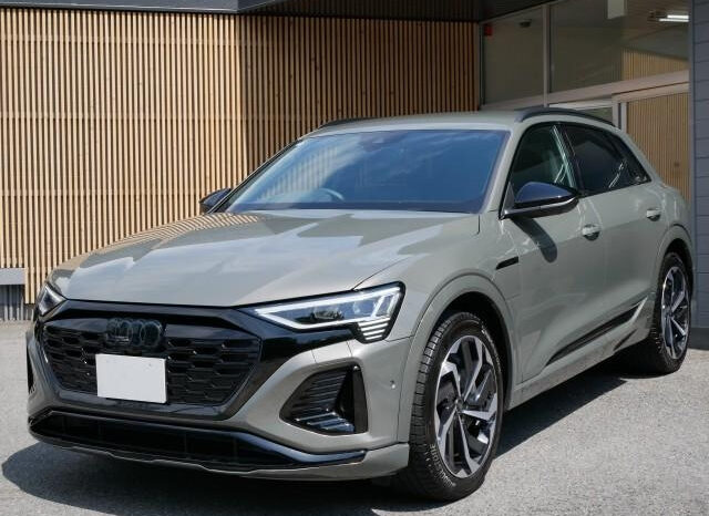 
								2024 AUDI Q8 E-TRON QUATTRO S LINE full									
