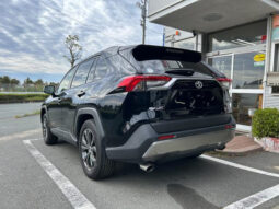 
										2024 TOYOTA RAV4 G 4WD full									