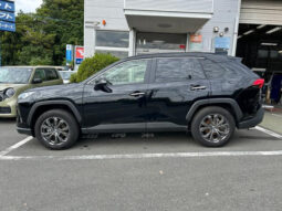 
										2024 TOYOTA RAV4 G 4WD full									